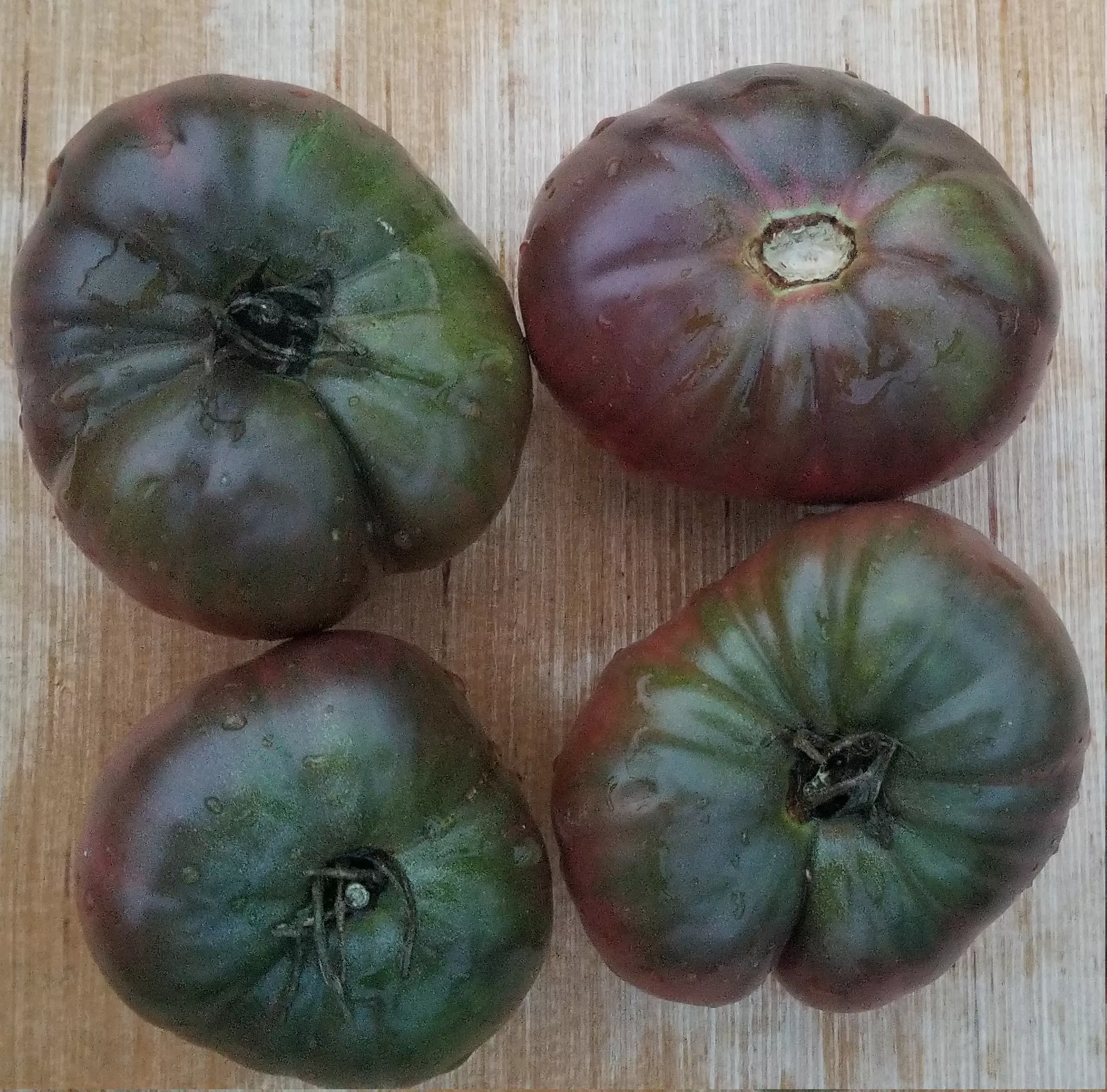 black-seaman-tomato Black Seaman Tomato