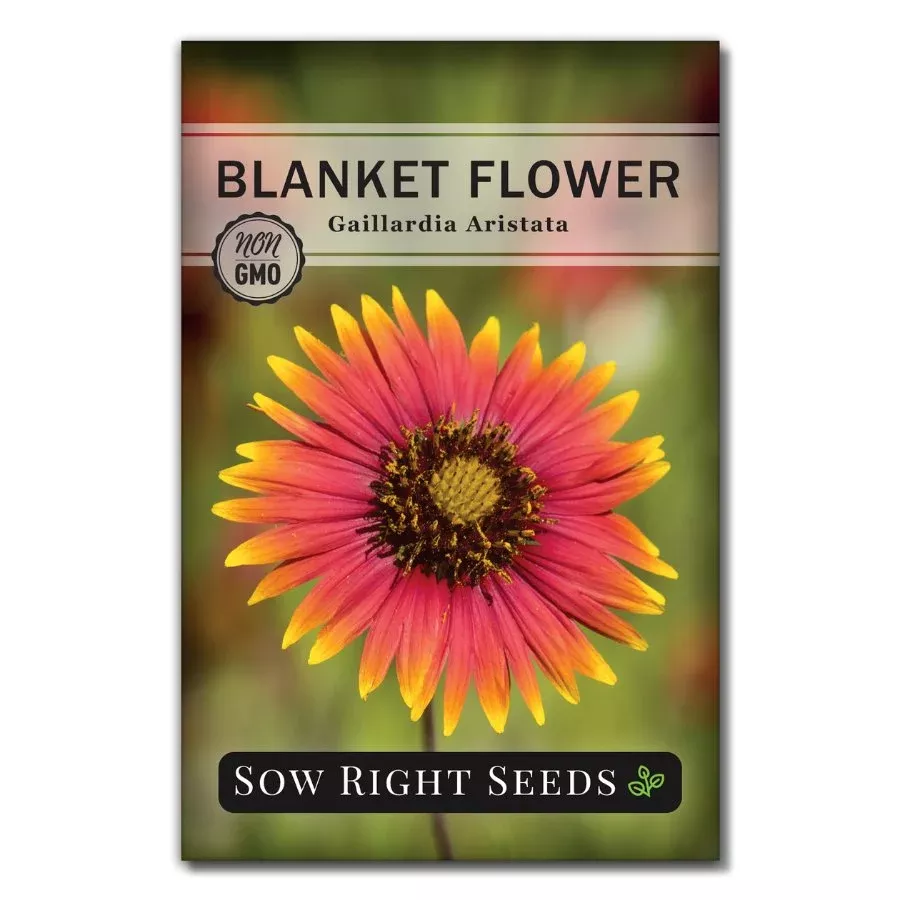 blanket-flower Blanket Flower