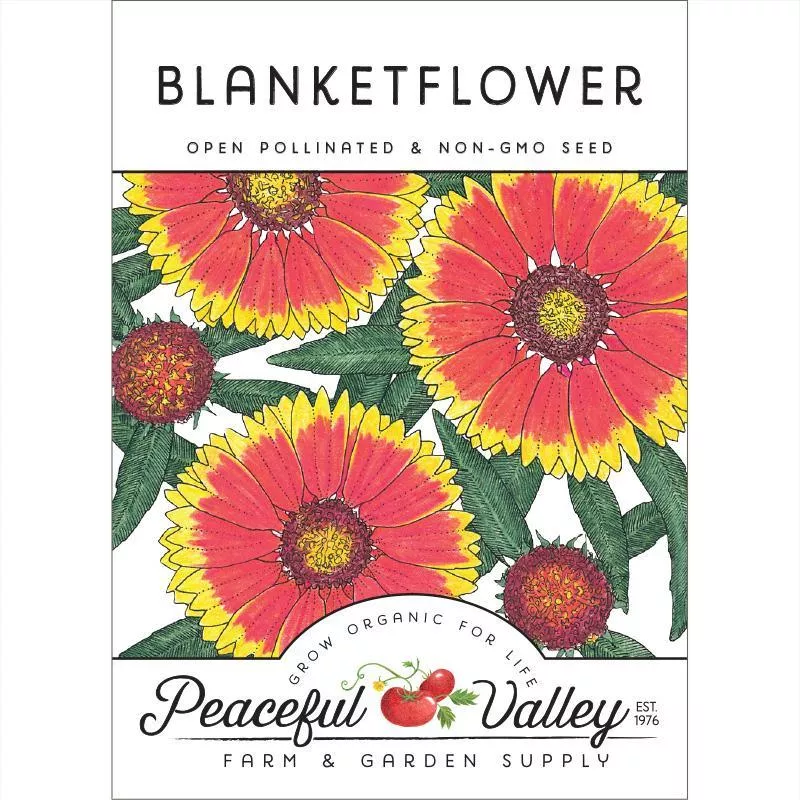 blanketflower-pack Blanketflower (pack)