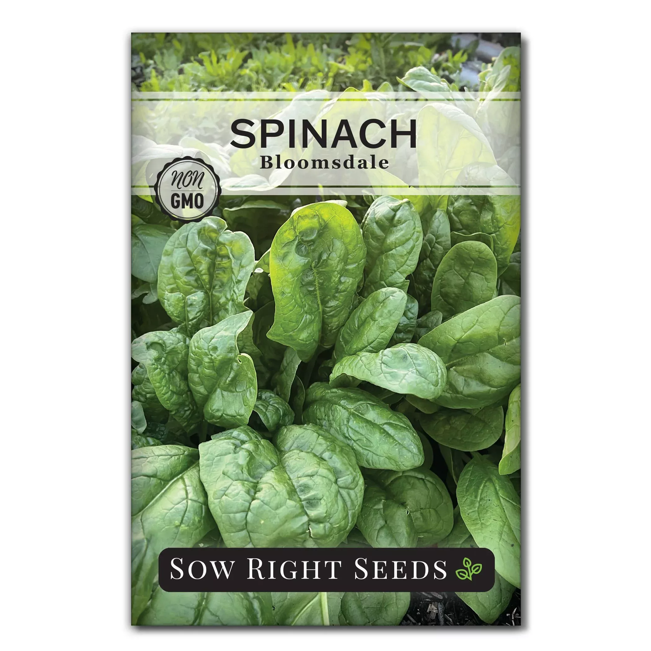 bloomsdale-spinach-seeds Bloomsdale Spinach Seeds