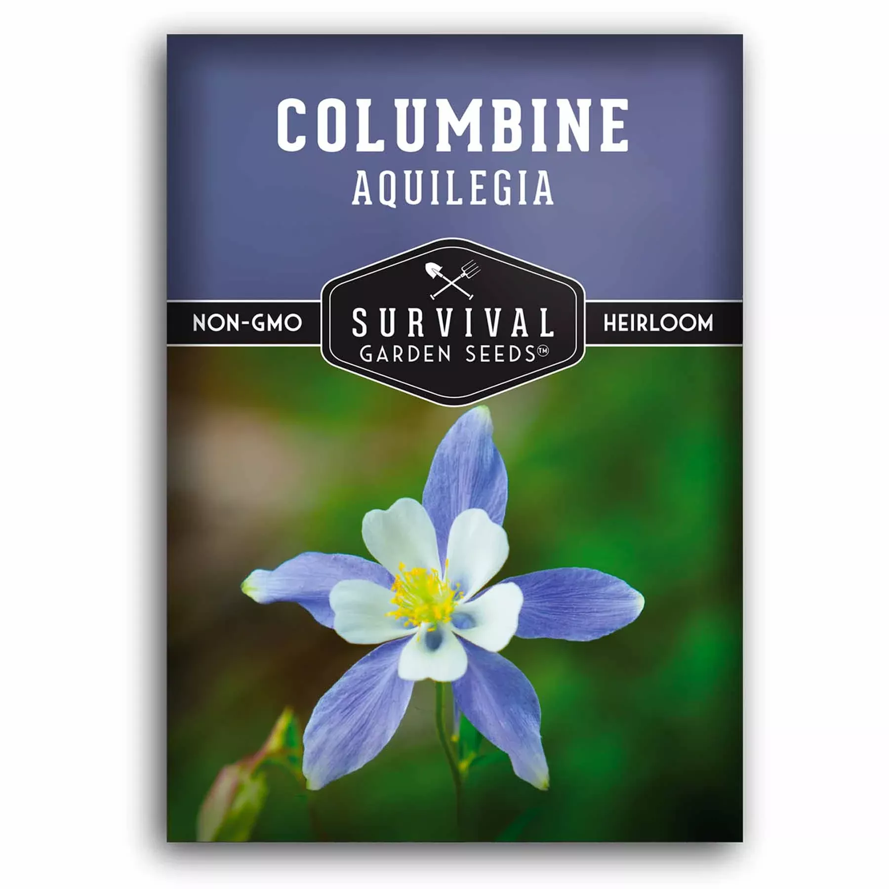 blue-columbine-seeds-2026 Blue Columbine Seeds 2026
