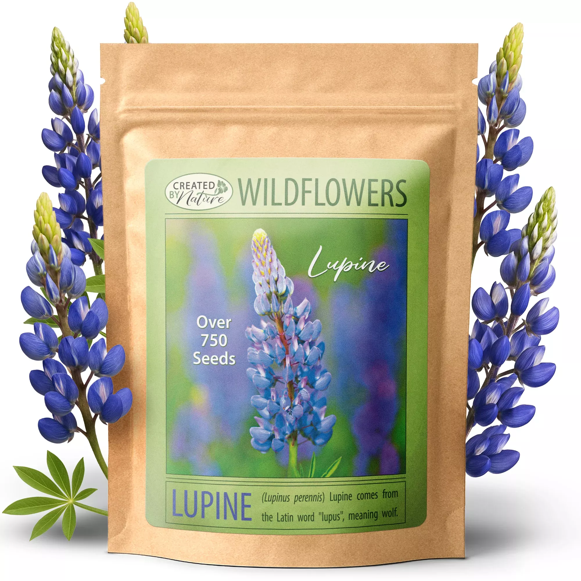 Blue Lupine Wildflower Seeds