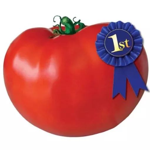 blue-ribbon-tomato-seeds Blue Ribbon Tomato Seeds