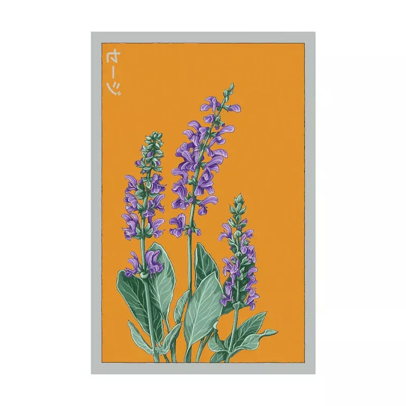Blue Sage Seeds