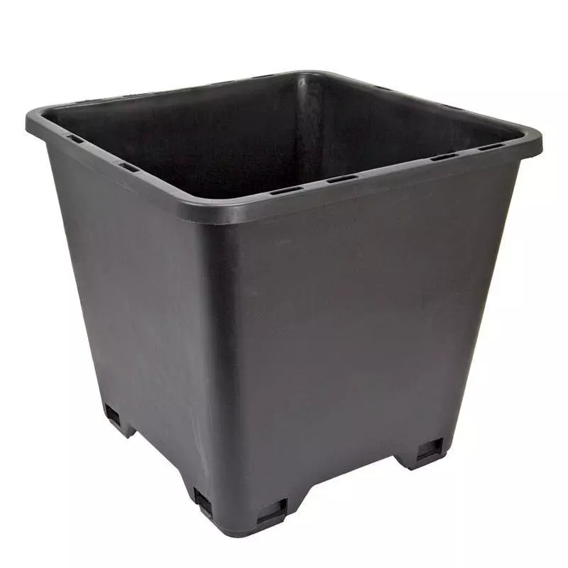 blueberry-pot-12-sq Blueberry Pot (12" sq)