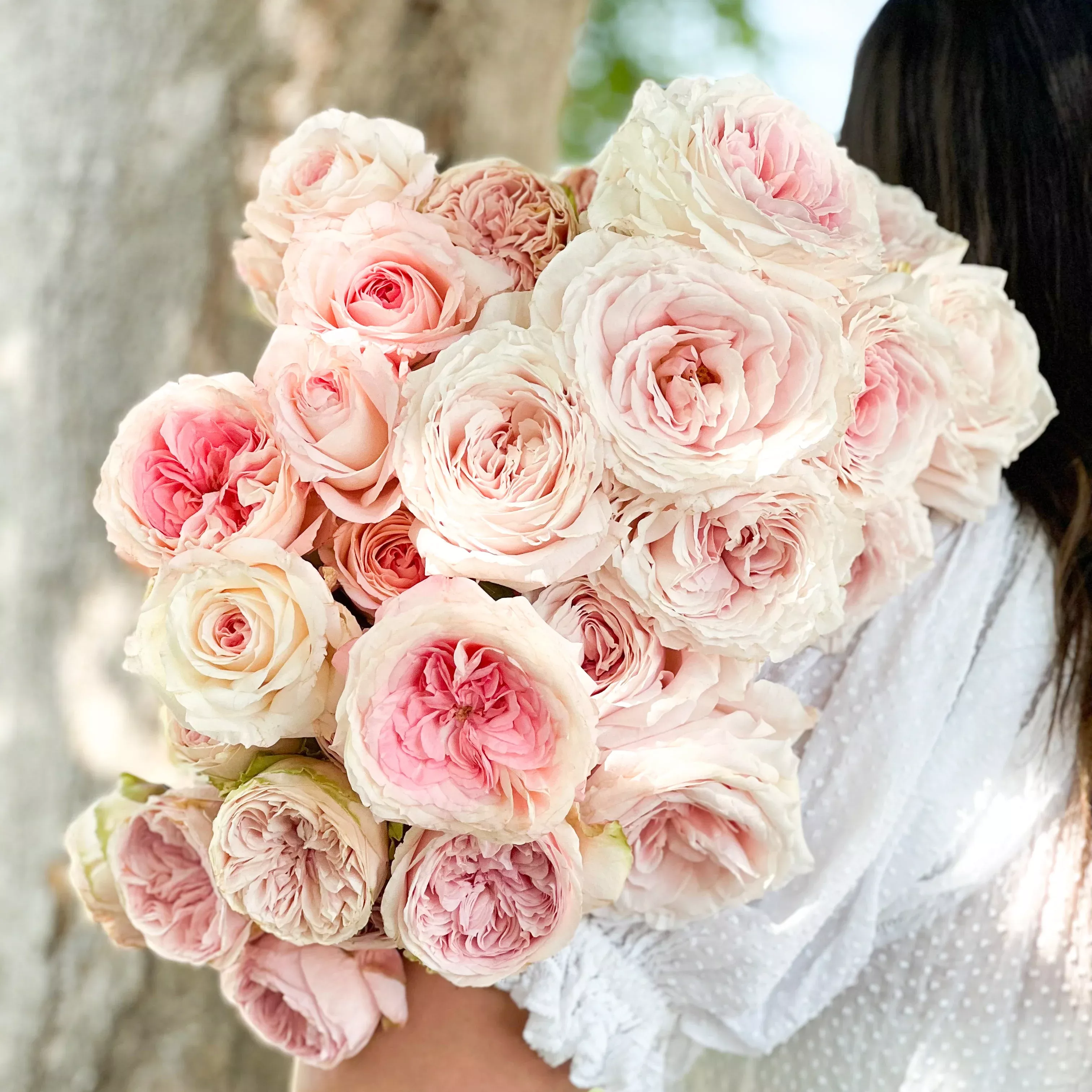 blush-garden-rose-bundle Blush Garden Rose Bundle