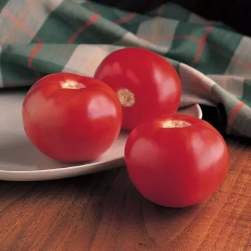 bobcat-tomato-seeds Bobcat Tomato Seeds