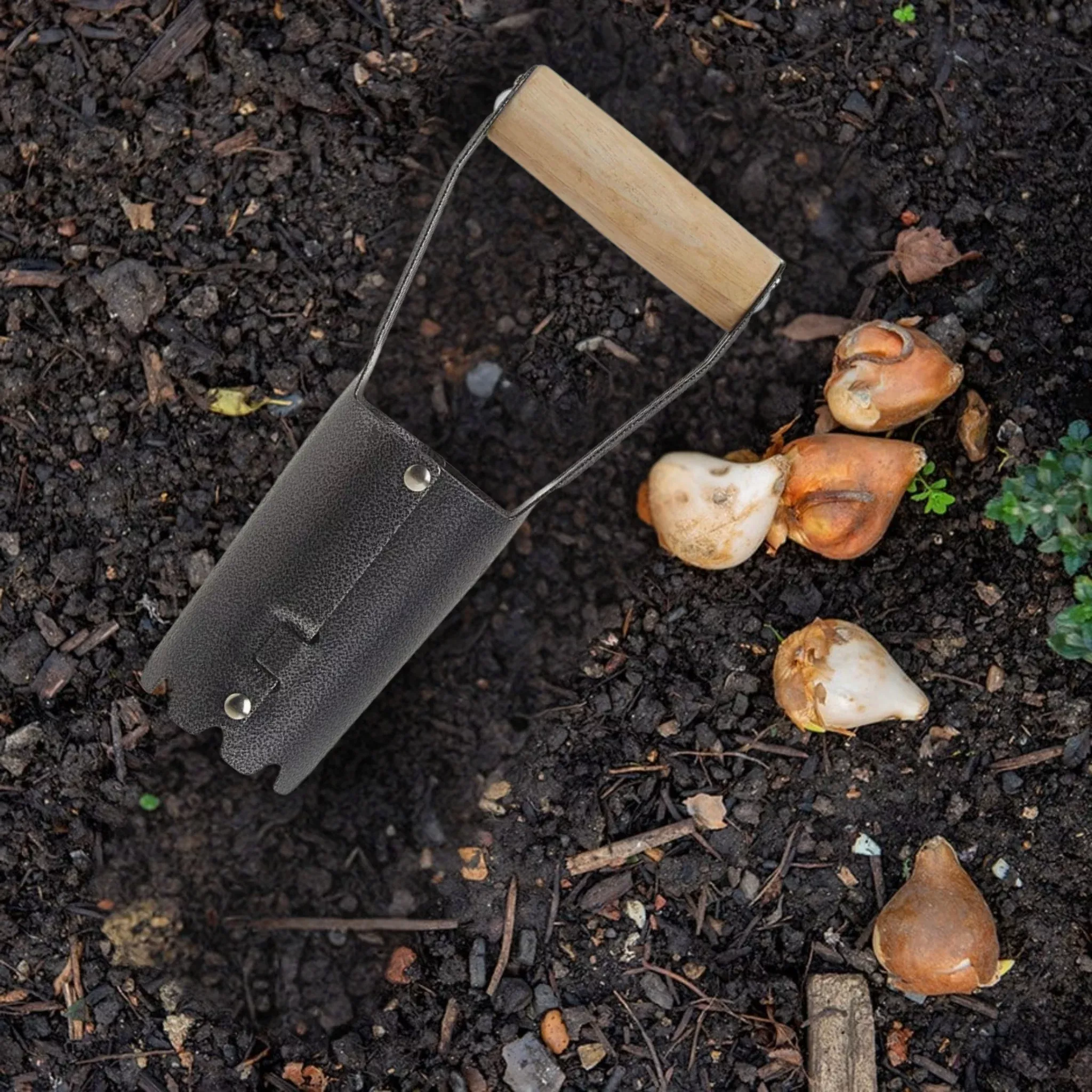 bond-standard-bulb-planter Bond Standard Bulb Planter