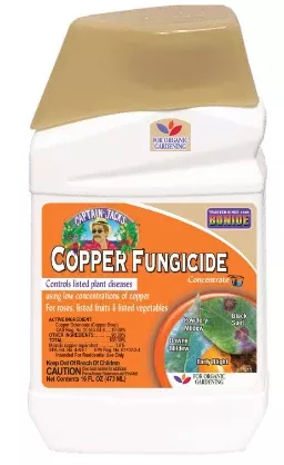 bonide-captain-jack-s-copper-fungicide-16-oz Bonide Captain Jack's Copper Fungicide - 16 oz.