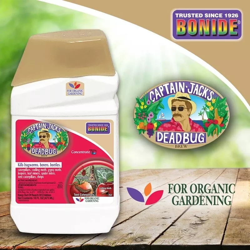 bonide-captain-jack-s-deadbug-brew Bonide Captain Jack’s™ Deadbug Brew