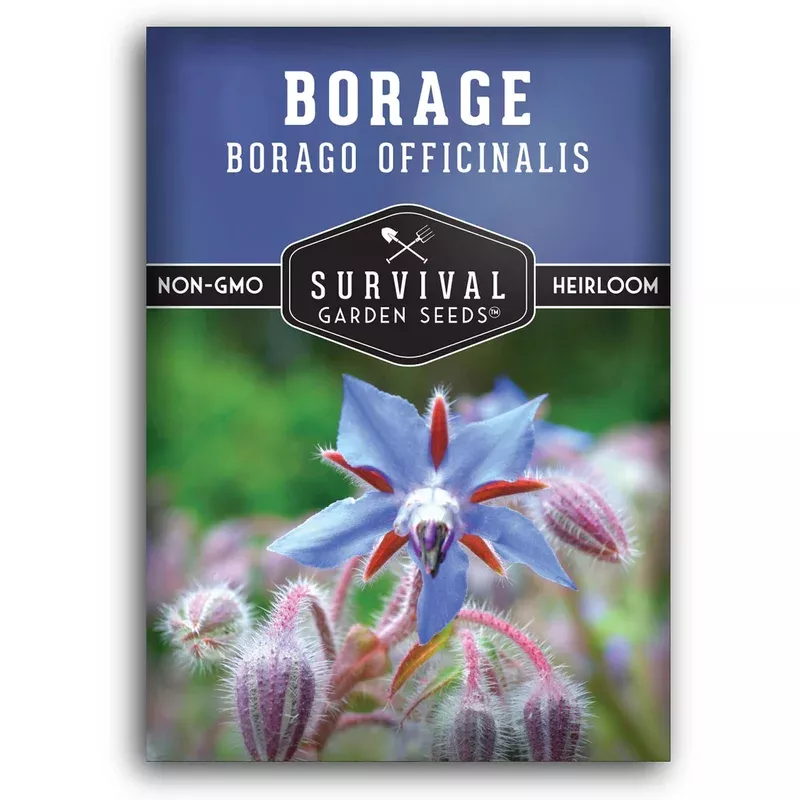 borage-seeds-borago-officinalis-edible-starflower-herb-pollinators-culinary-use- Borage Seeds (Borago officinalis) – Edible Starflower Herb for Pollinators, Culinary Use & Herbal Gardens