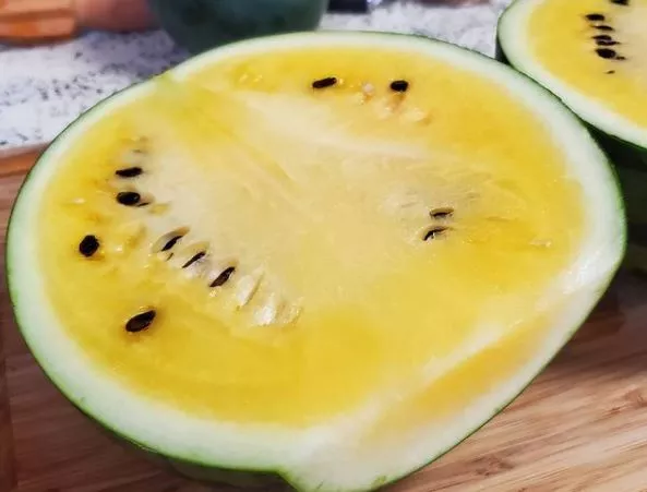 borrie-s-yellow-watermelon Borrie’s Yellow Watermelon