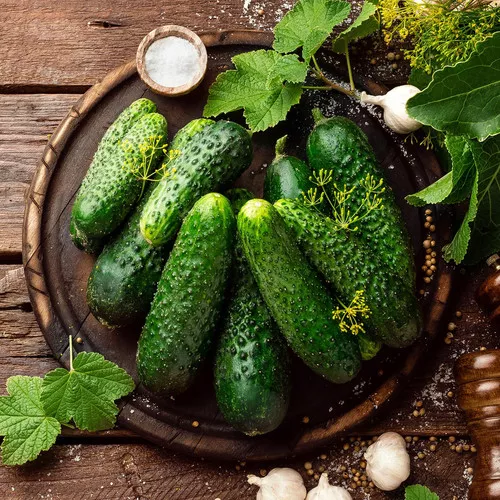 boston-national-pickling-cucumber Boston National Pickling Cucumber