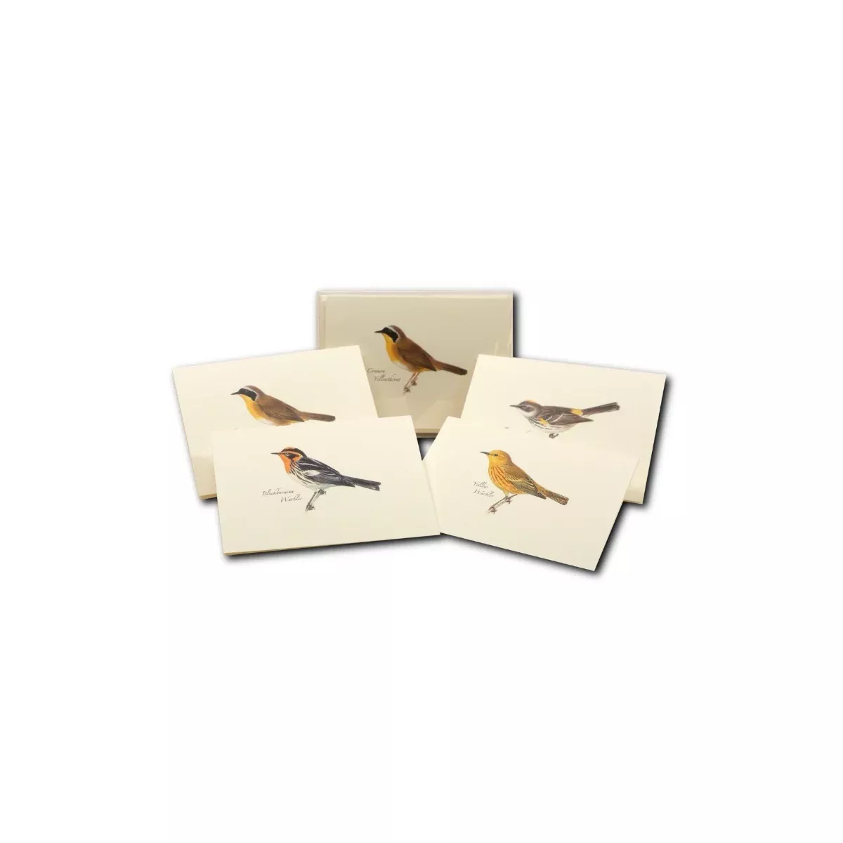 boxed-notecards-peterson-warblers-assorted Boxed Notecards: Peterson Warblers Assorted