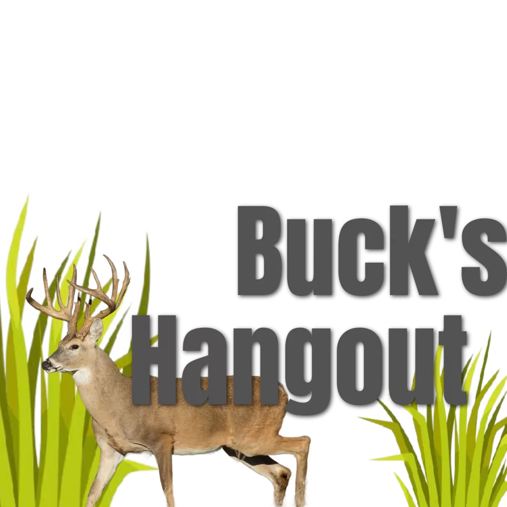 buck-s-hangout Buck’s Hangout