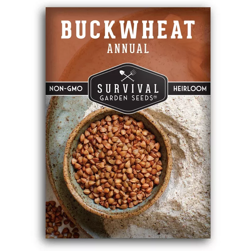 buckwheat-seeds-fast-growing-cover-crop-versatile-grain-gardens-livestock-emerge Buckwheat Seeds – Fast-Growing Cover Crop and Versatile Grain for Gardens, Livestock & Emergency Food Storage