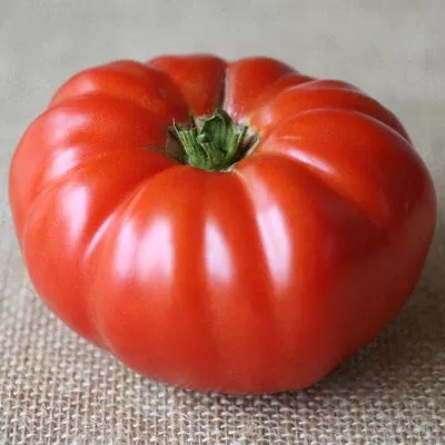 buffalo-steak-vfnt-hybrid-tomato Buffalo Steak VFNT Hybrid Tomato
