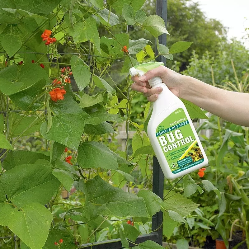 bug-control-spray Bug Control Spray