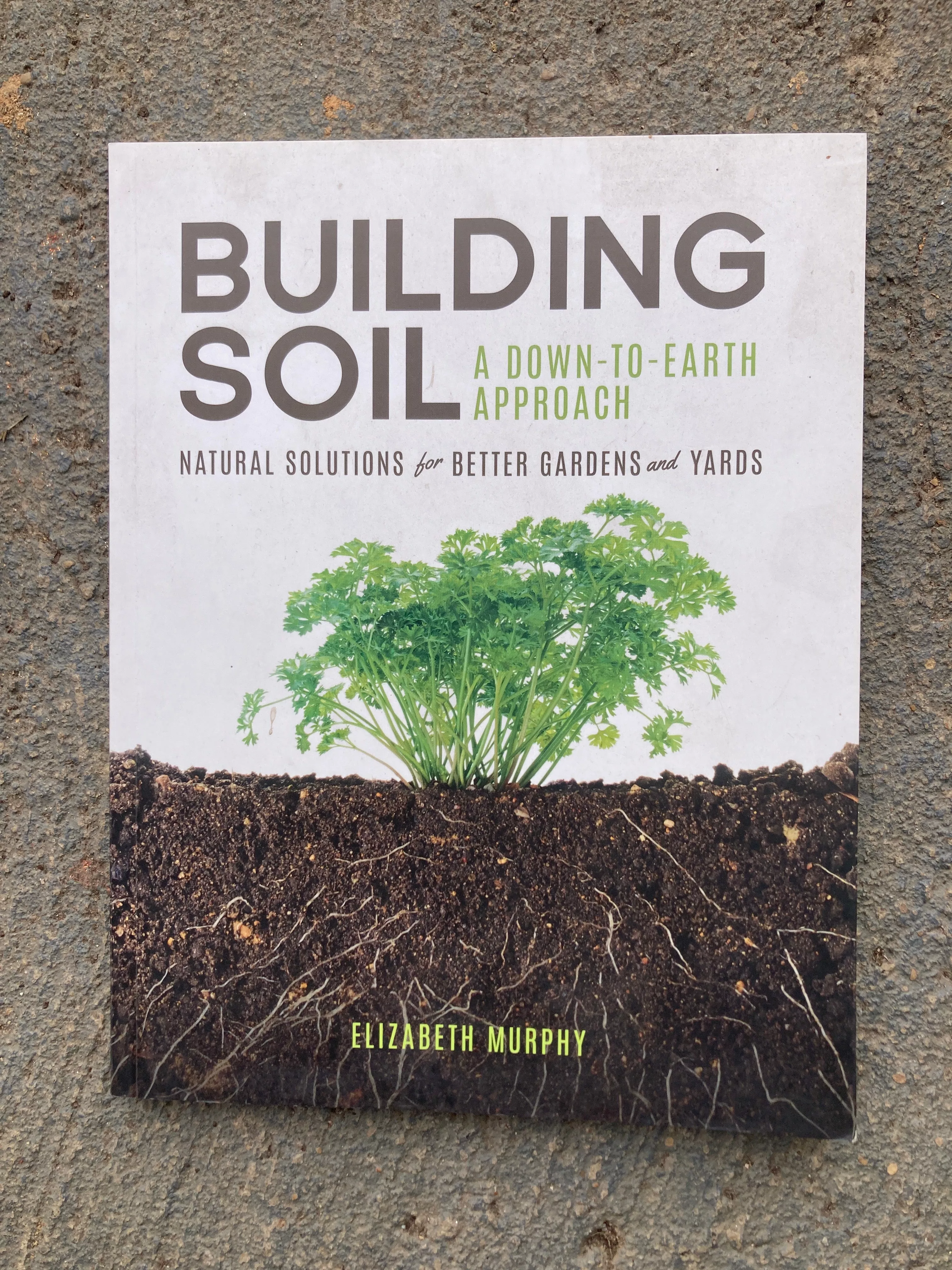 building-soil Building Soil