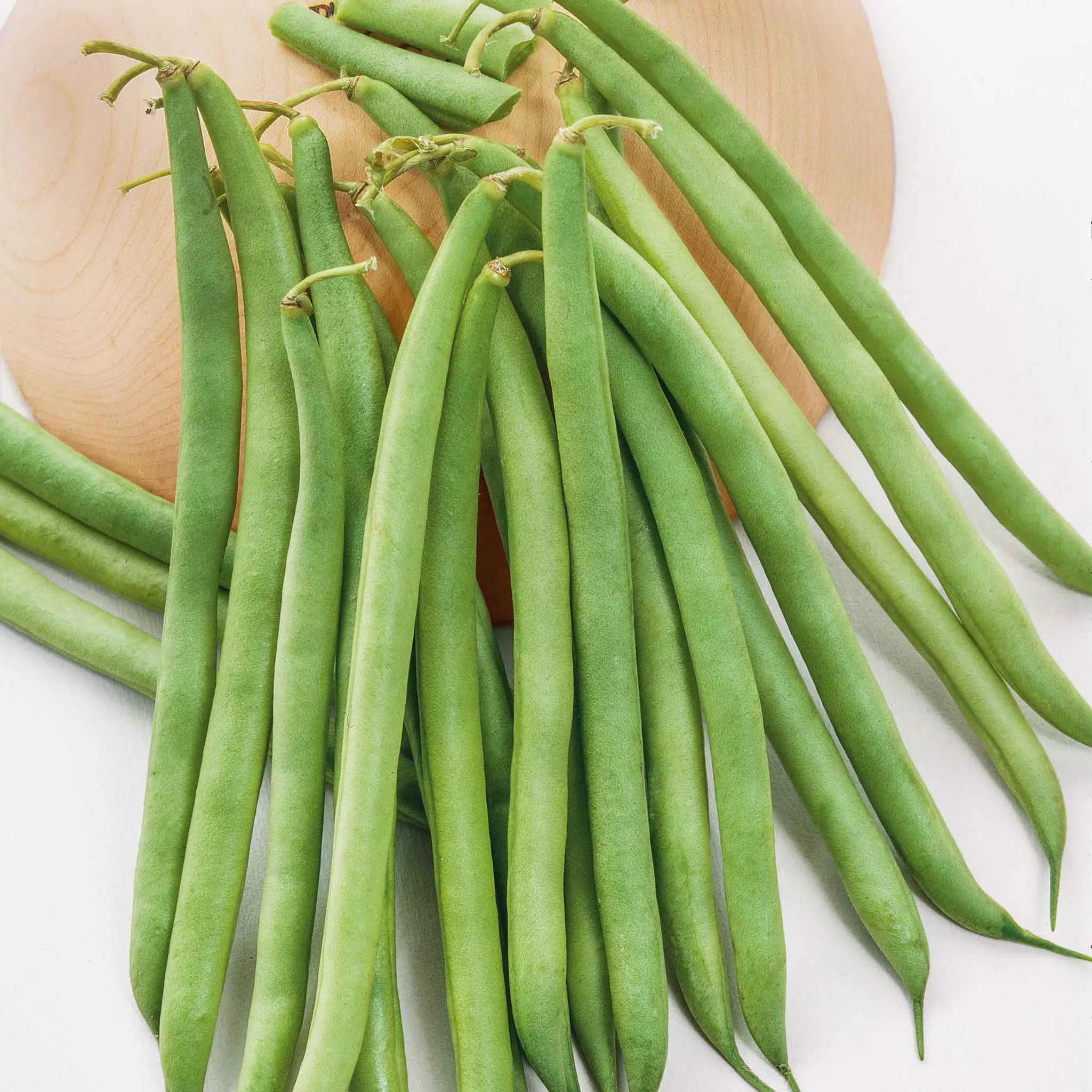 bulk-bean-seeds-bush-landreth-stringless Bulk Bean Seeds (Bush) - Landreth Stringless