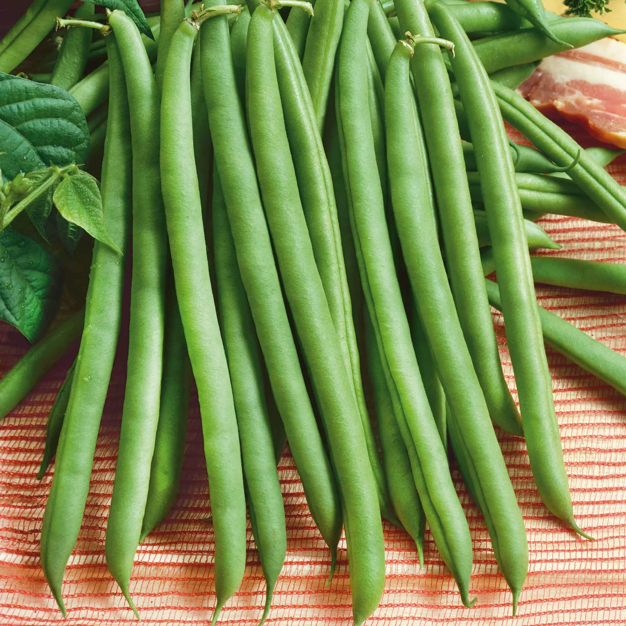 bulk-bean-seeds-bush-provider Bulk Bean Seeds (Bush) - Provider