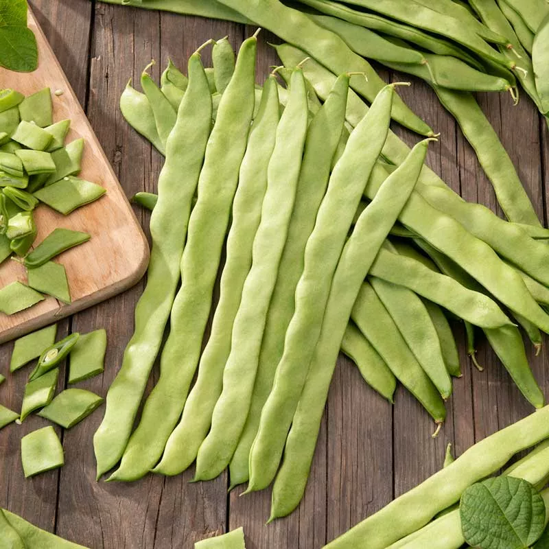 bulk-bean-seeds-bush-romano Bulk Bean Seeds (Bush) - Romano