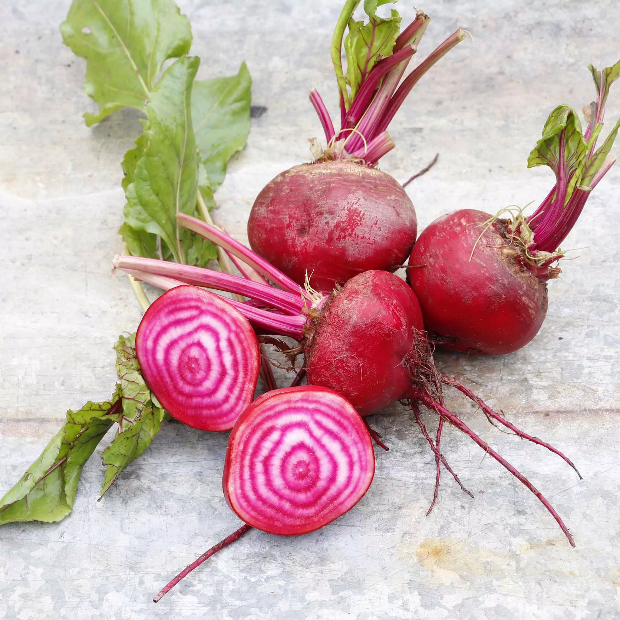 bulk-beet-seeds-chioggia Bulk Beet Seeds - Chioggia