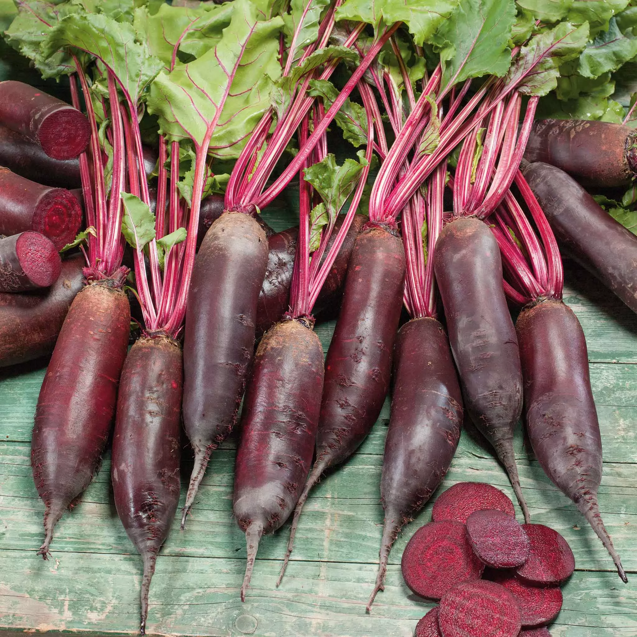 bulk-beet-seeds-cylindra Bulk Beet Seeds - Cylindra