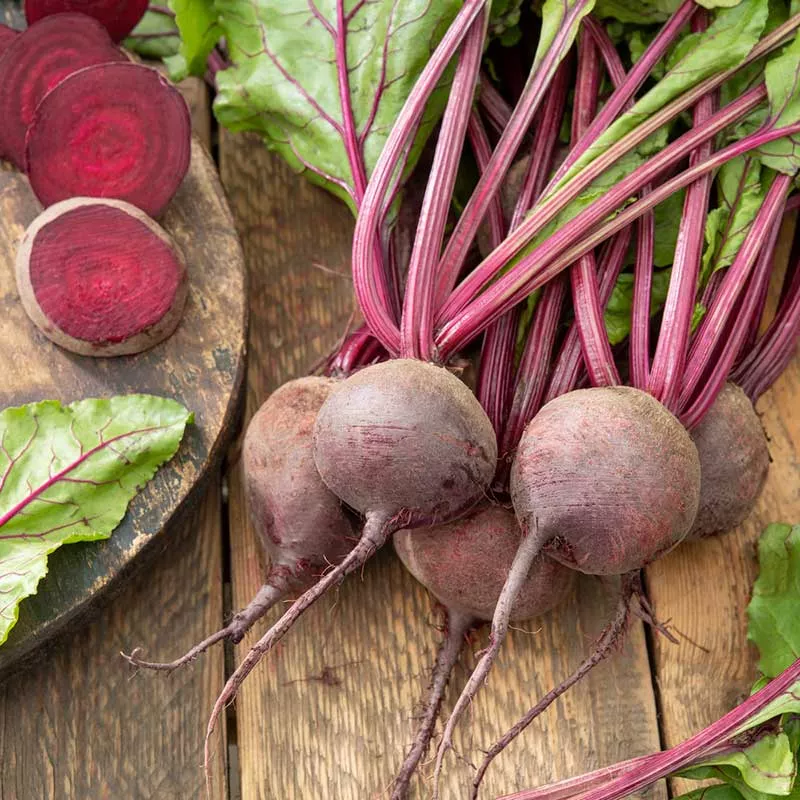 bulk-beet-seeds-detroit-dark-red Bulk Beet Seeds - Detroit Dark Red