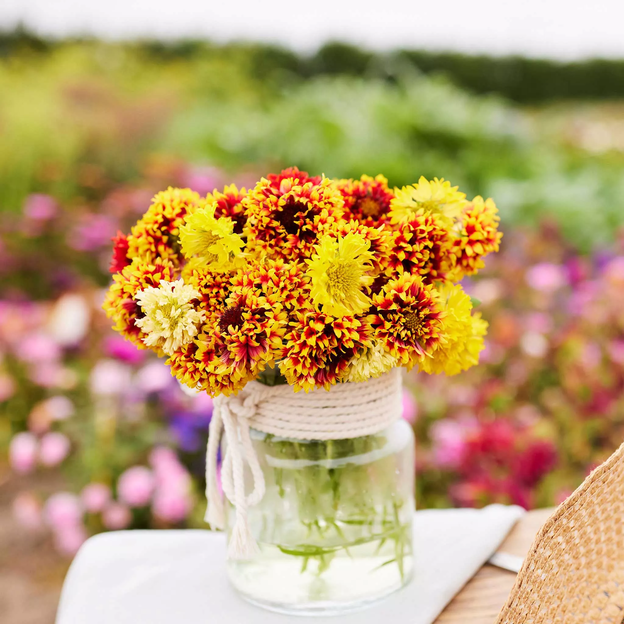 bulk-blanket-flower-seeds-sundance Bulk Blanket Flower Seeds - Sundance