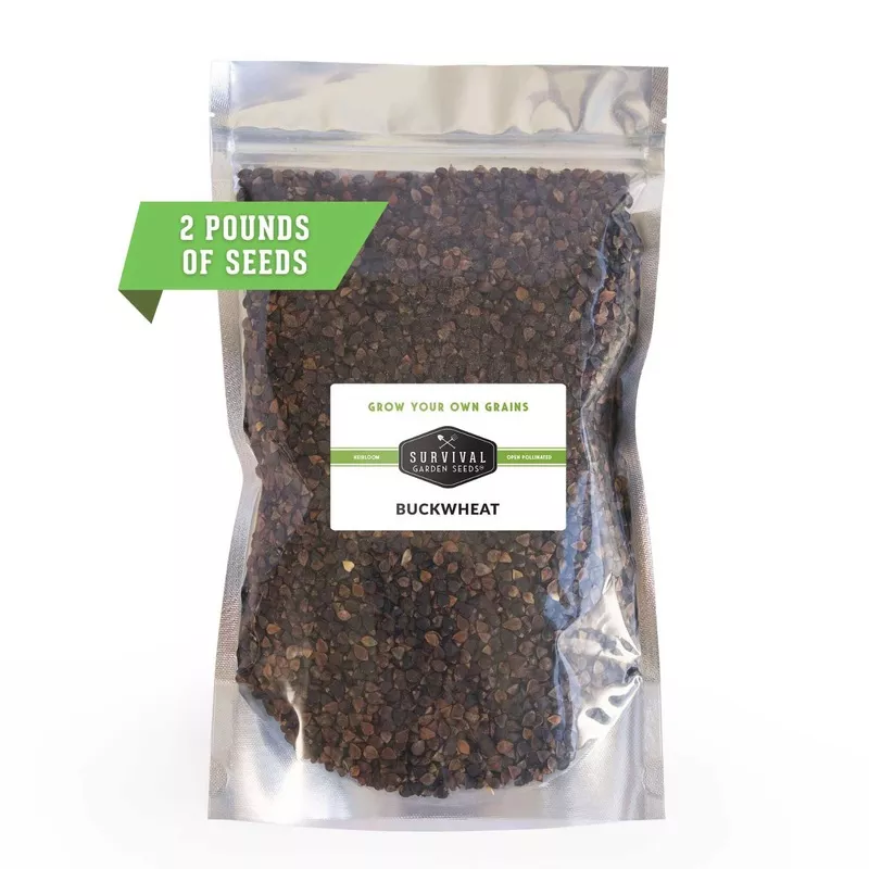 bulk-buckwheat-seeds-2lb-fast-growing-cover-crop-multi-use-grain-gardens-livesto Bulk Buckwheat Seeds (2lb) – Fast-Growing Cover Crop and Multi-Use Grain for Gardens, Livestock & Emergency Preparedness
