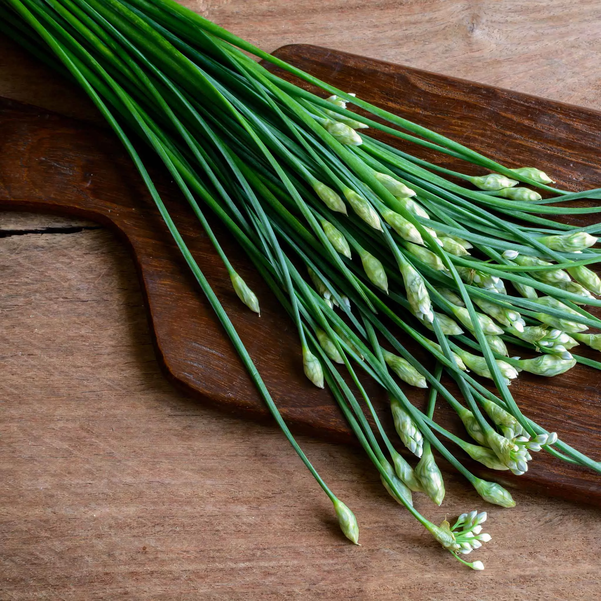 bulk-chives-seeds-garlic Bulk Chives Seeds - Garlic