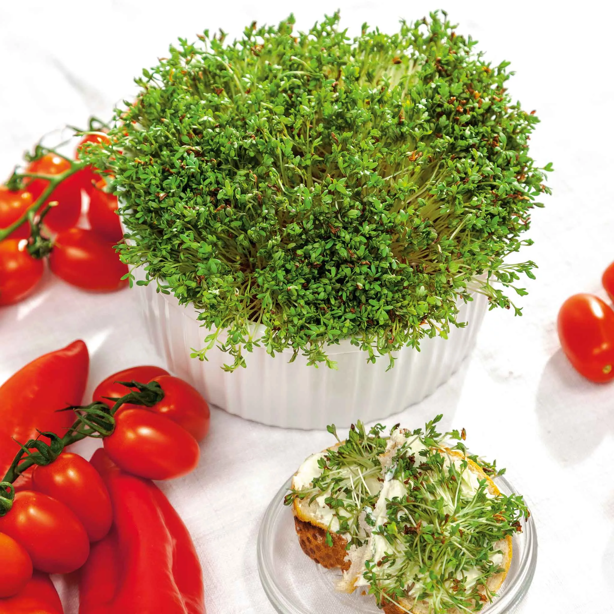 bulk-cress-seeds-curled Bulk Cress Seeds - Curled