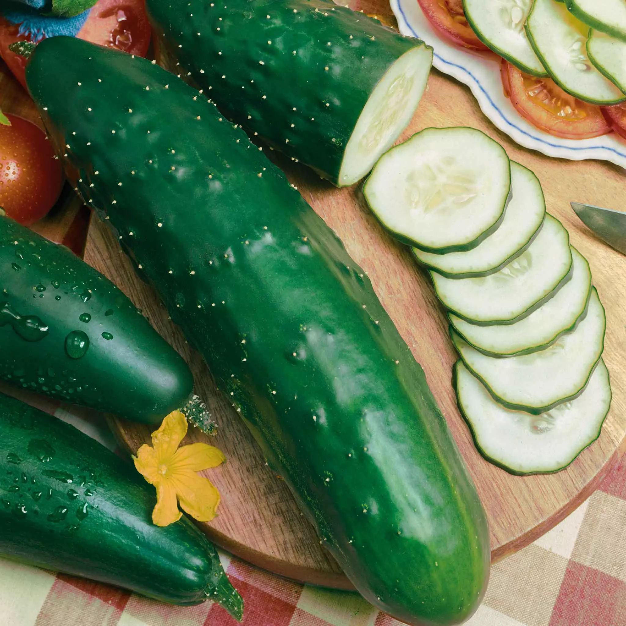 bulk-cucumber-seeds-ashley Bulk Cucumber Seeds - Ashley