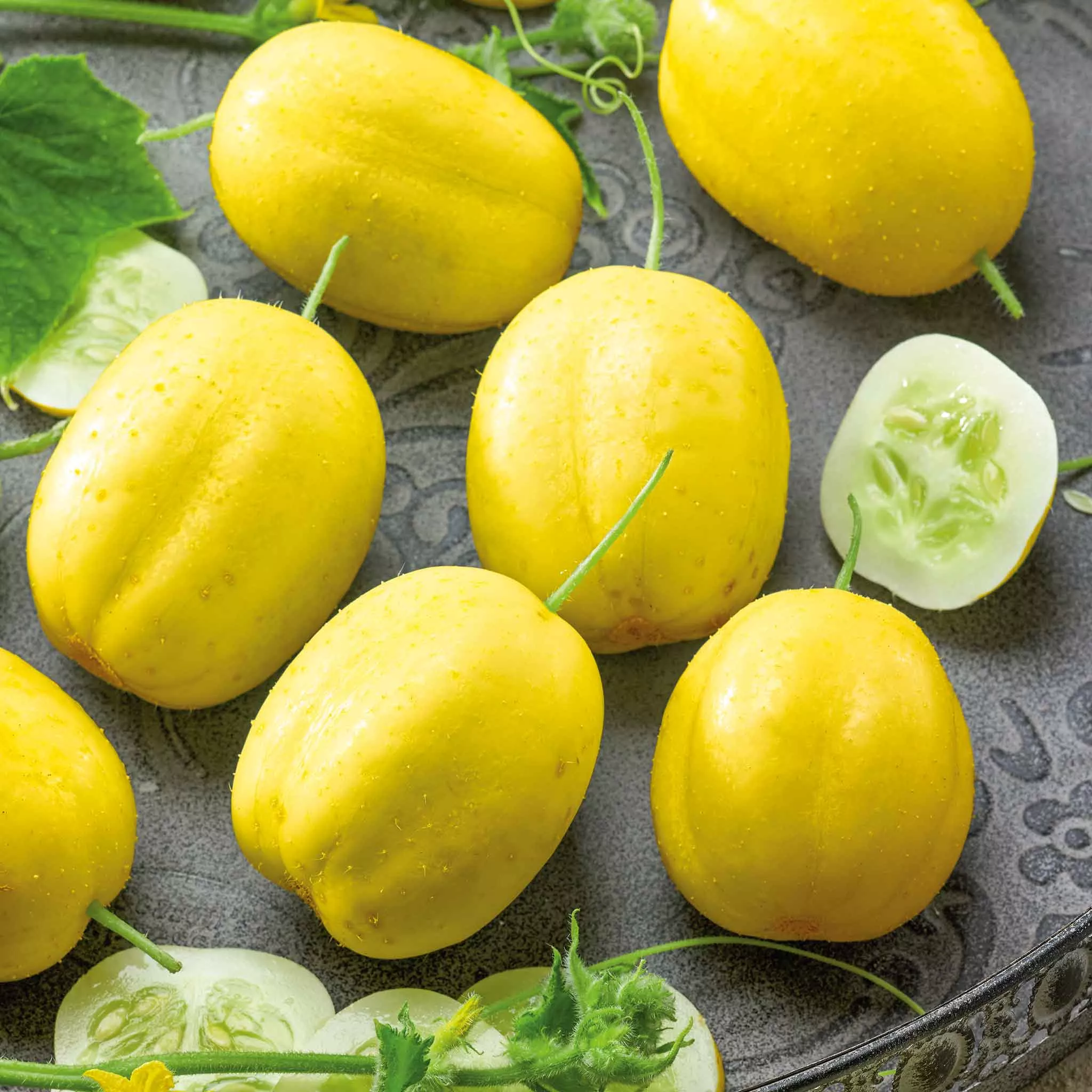 bulk-cucumber-seeds-lemon Bulk Cucumber Seeds - Lemon