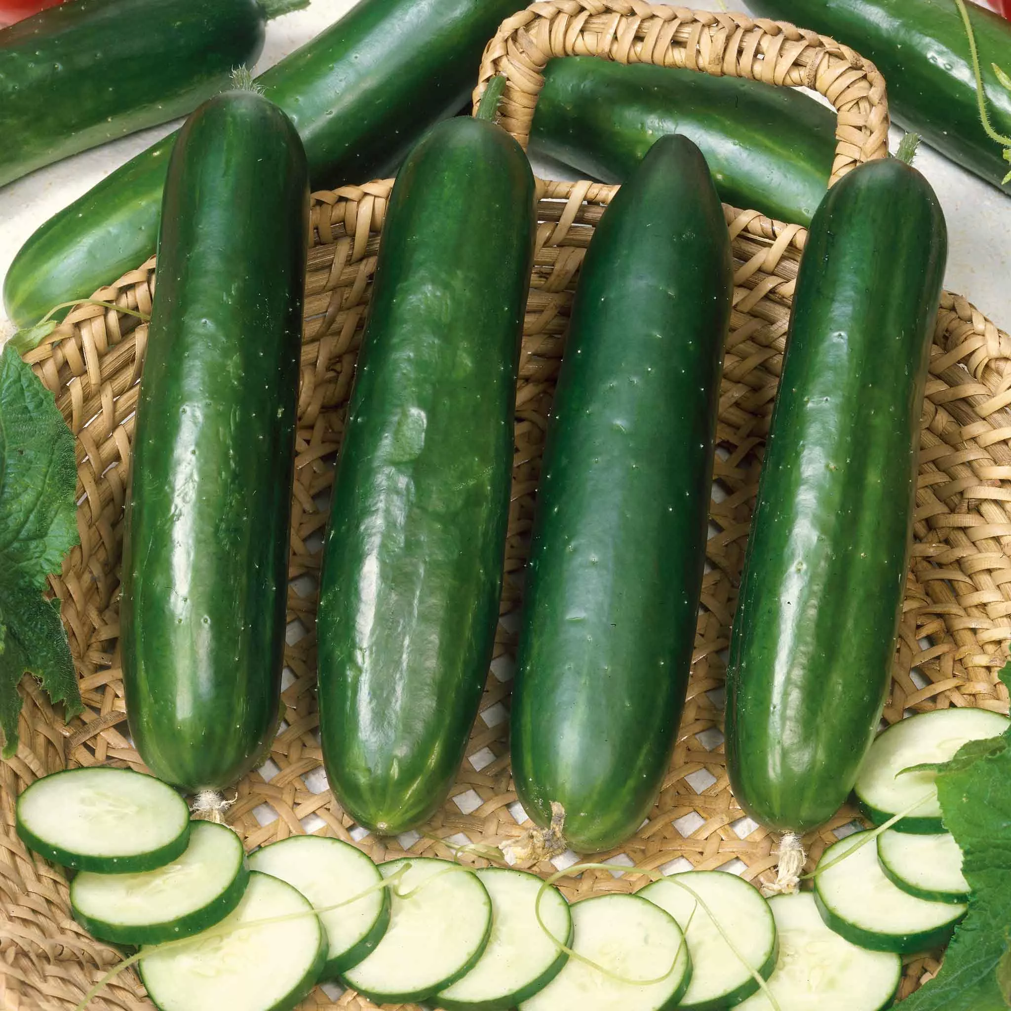 Bulk Cucumber Seeds - Long Green Improved