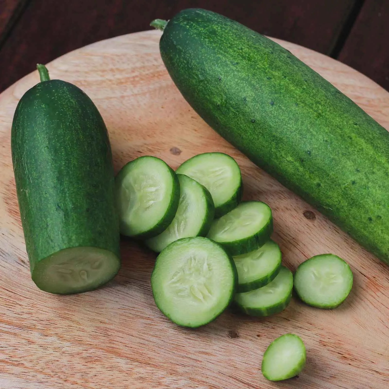 bulk-cucumber-seeds-straight-8 Bulk Cucumber Seeds - Straight 8
