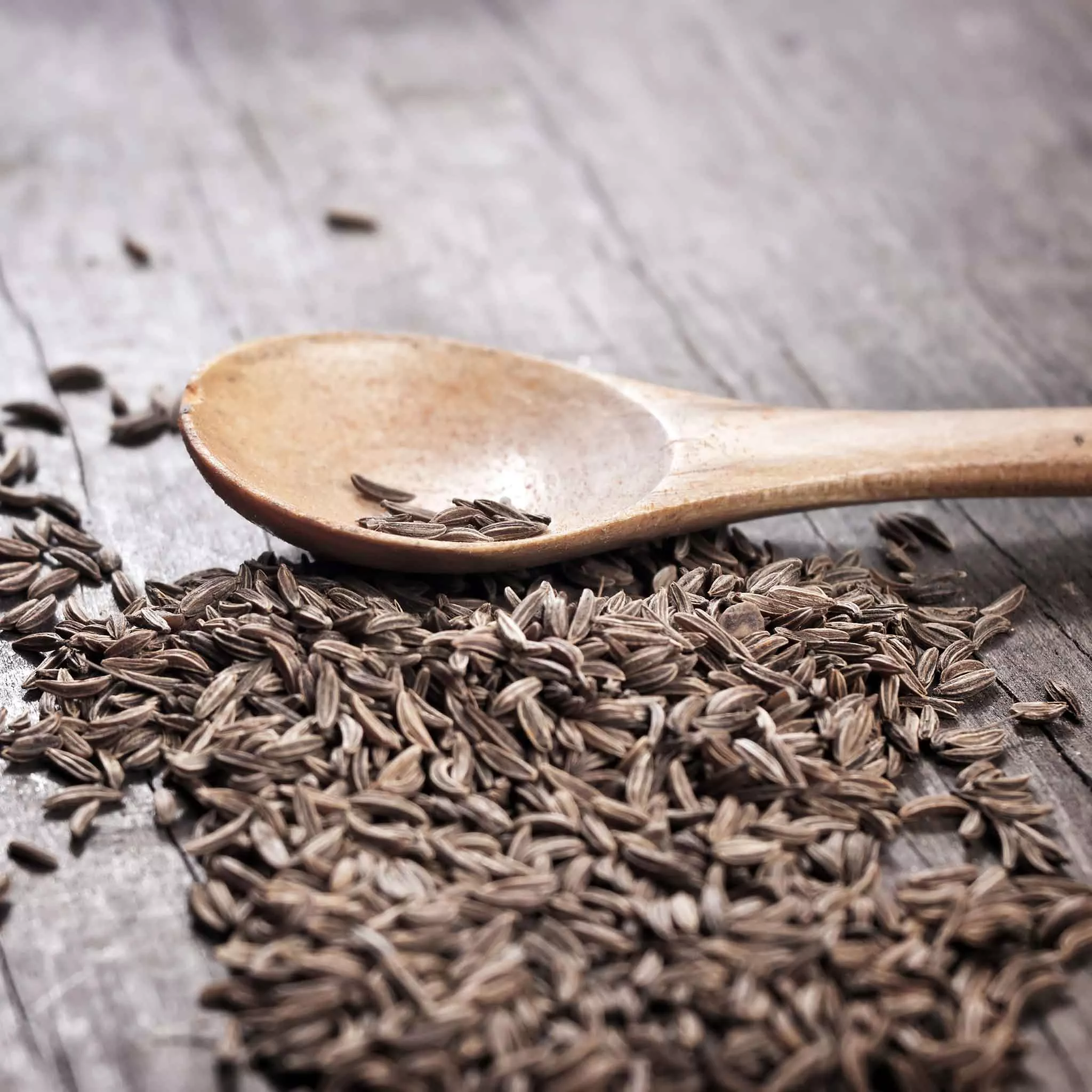 bulk-cumin-seeds Bulk Cumin Seeds