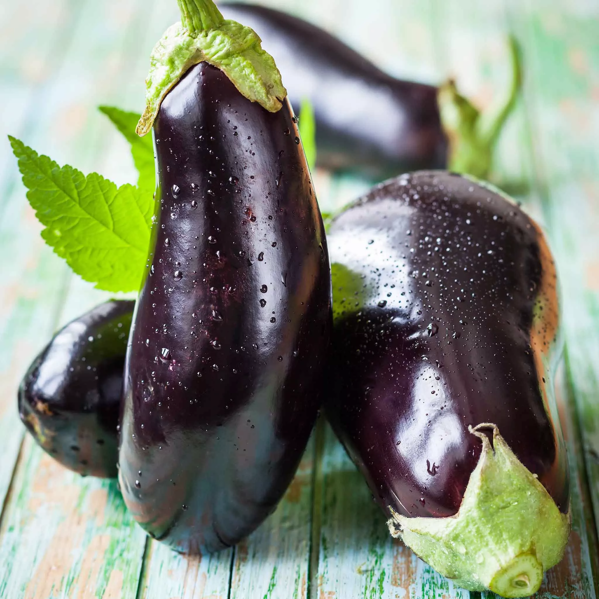 Bulk Eggplant Seeds - Black Beauty
