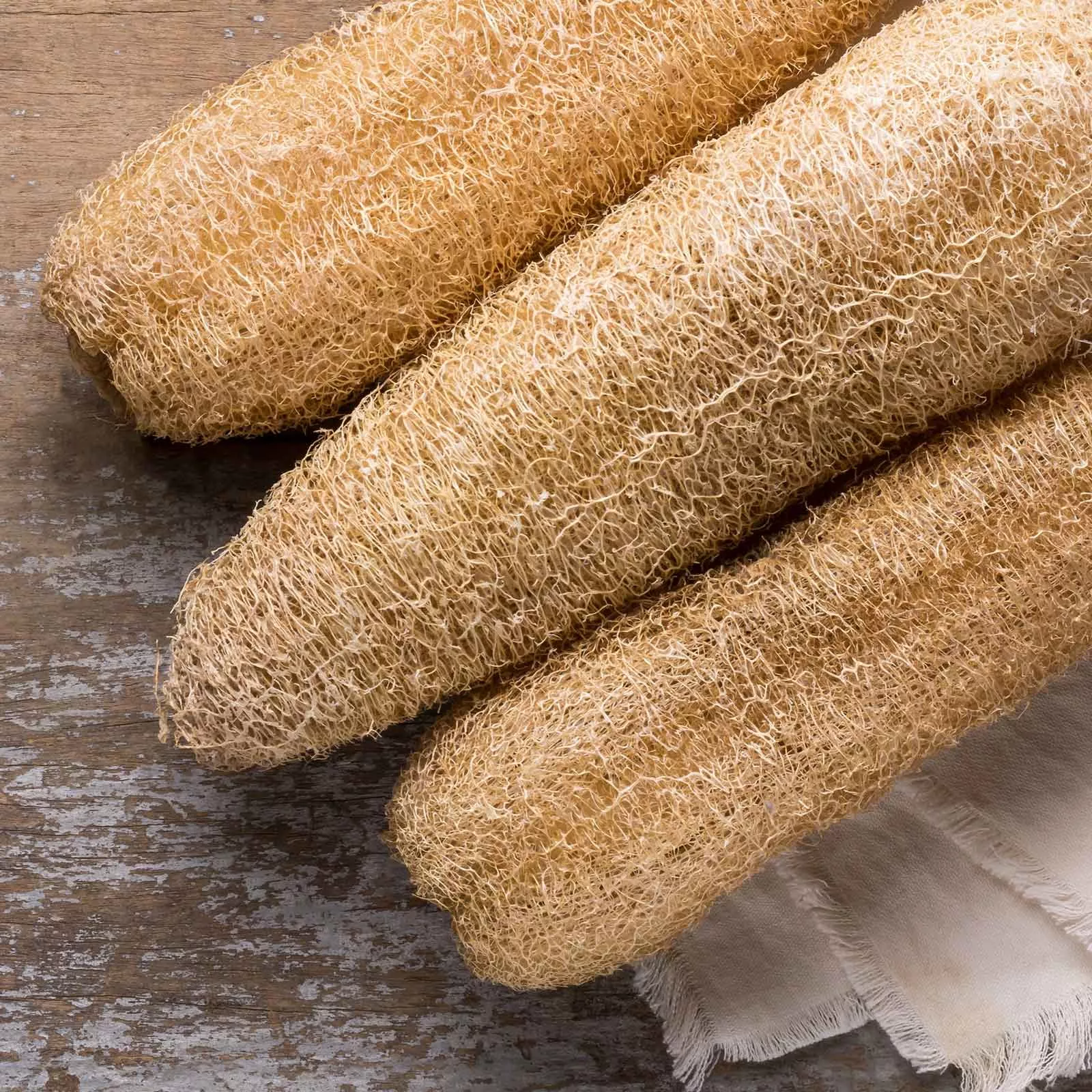 Bulk Gourd Seeds - Luffa