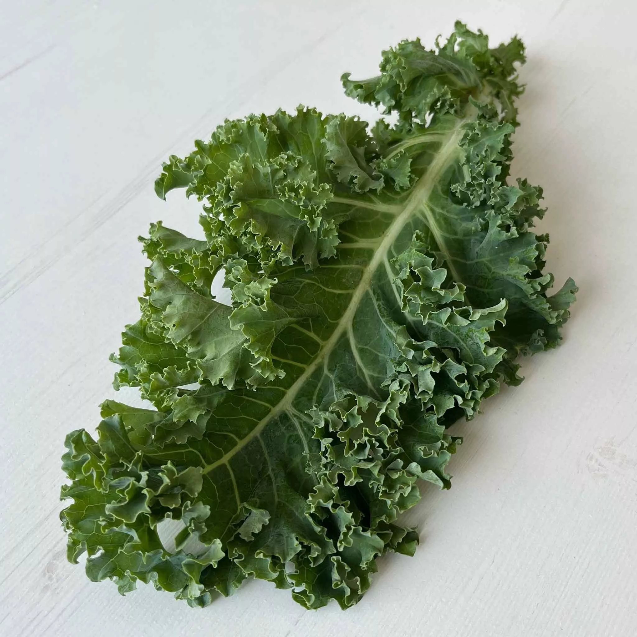 Bulk Kale Seeds - Dwarf Siberian