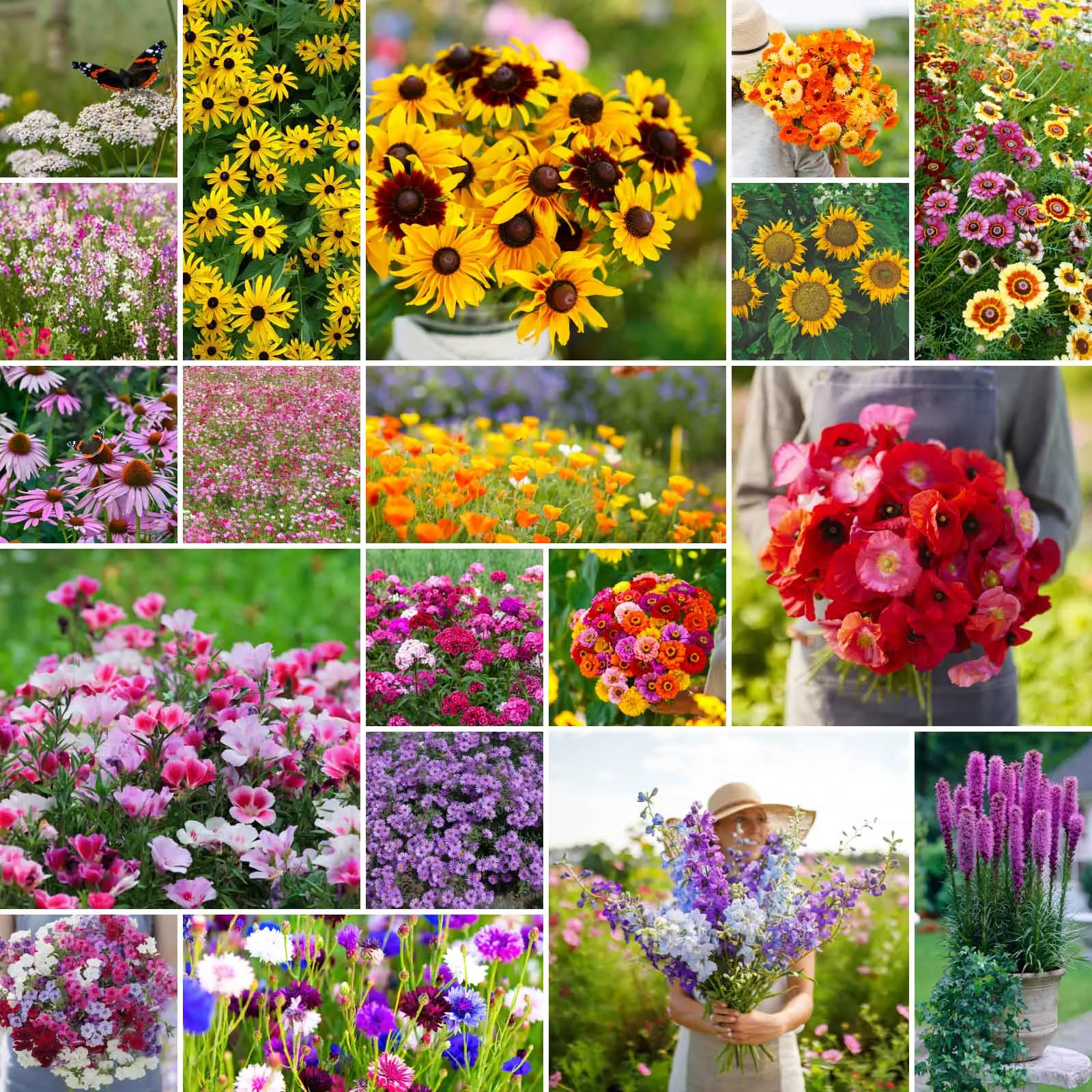 bulk-late-bloomer-fall-blooming-wildflower-seed-mix Bulk Late Bloomer - Fall Blooming Wildflower Seed Mix