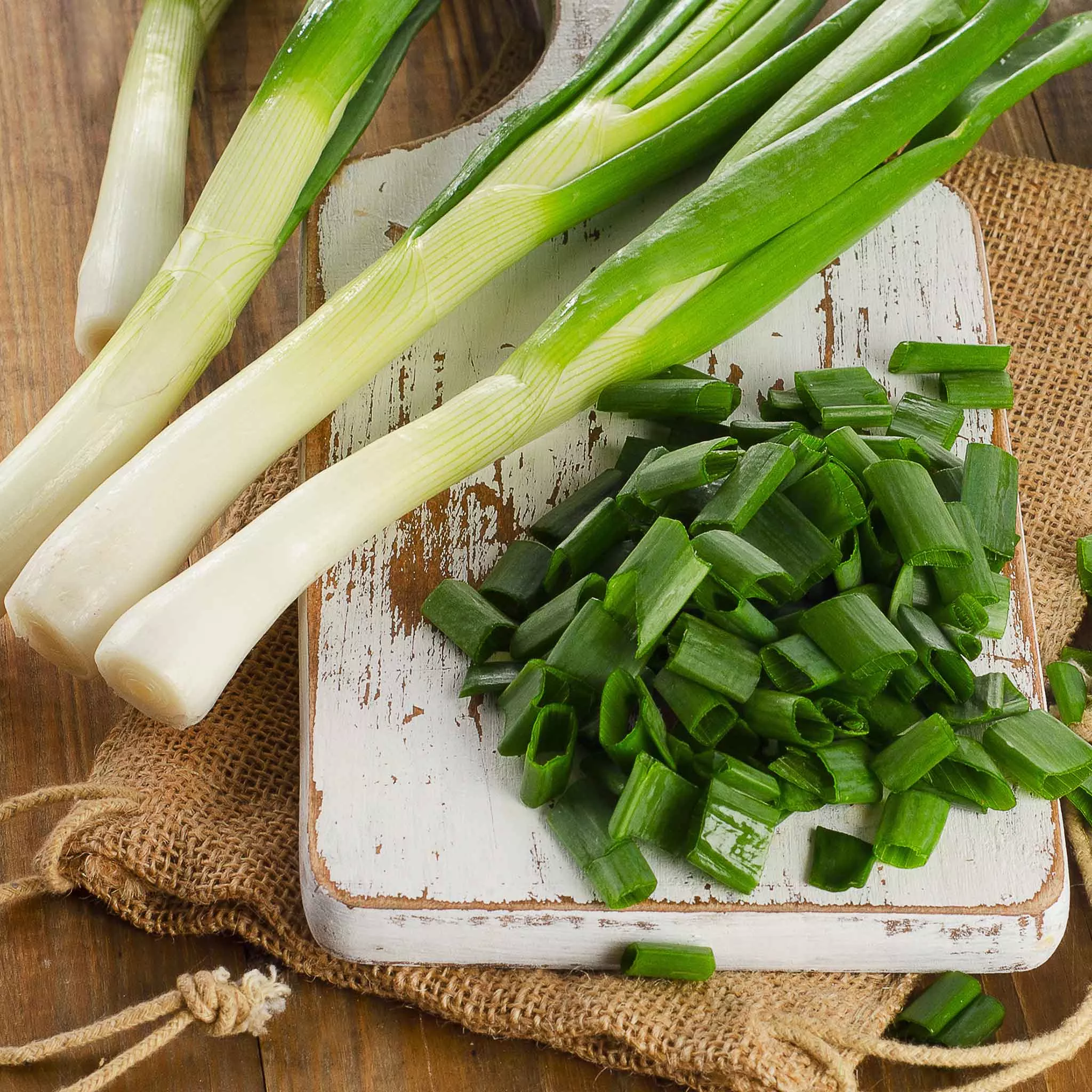 Bulk Onion Seeds (Bunching) - Tokyo Long White