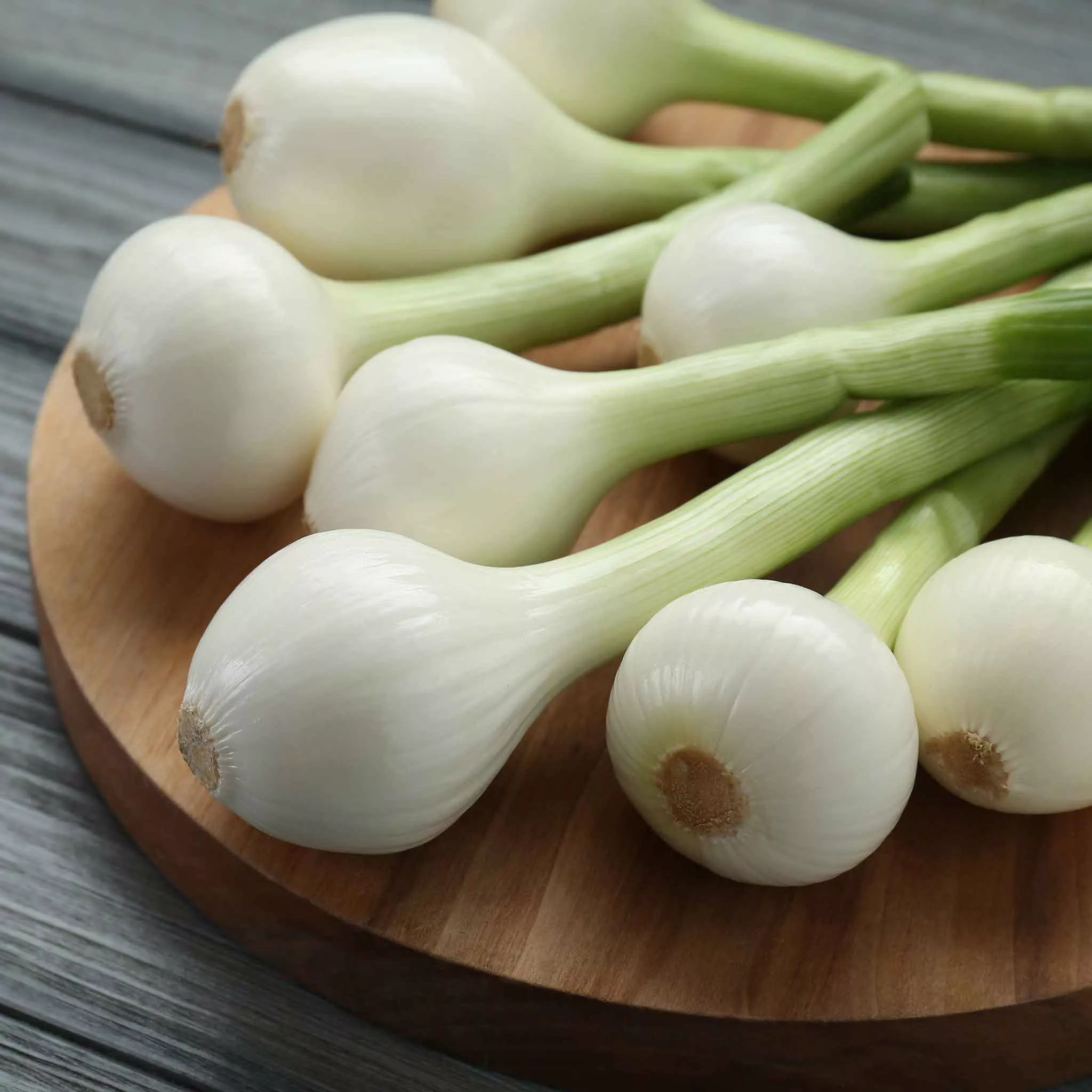 Bulk Onion Seeds (Pearl/Pickling) - Crystal White Wax