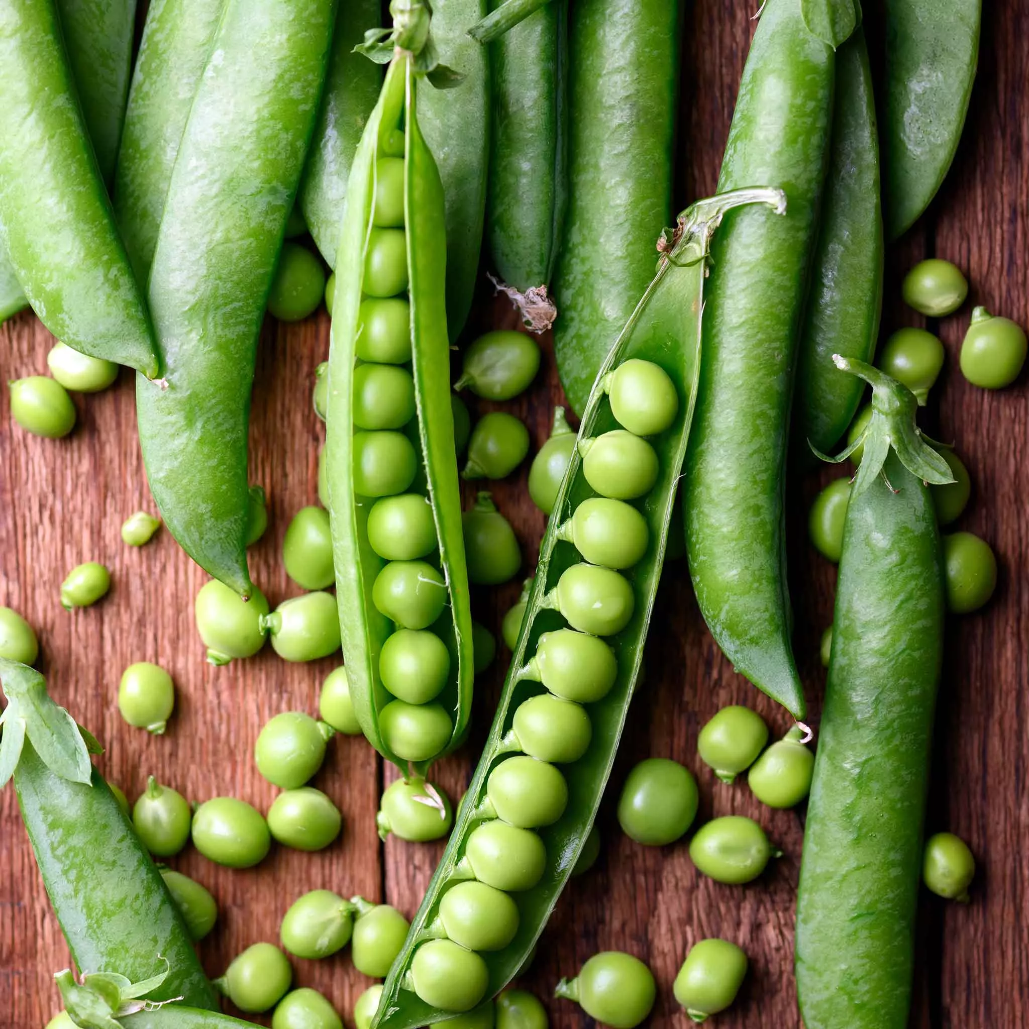 bulk-pea-seeds-green-arrow Bulk Pea Seeds - Green Arrow
