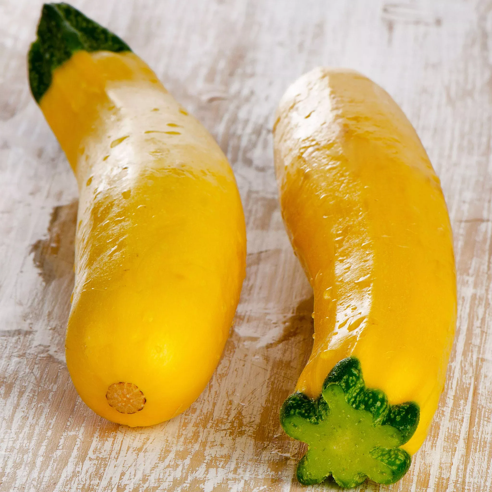 bulk-squash-summer-seeds-early-prolific-straightneck Bulk Squash (Summer) Seeds - Early Prolific Straightneck