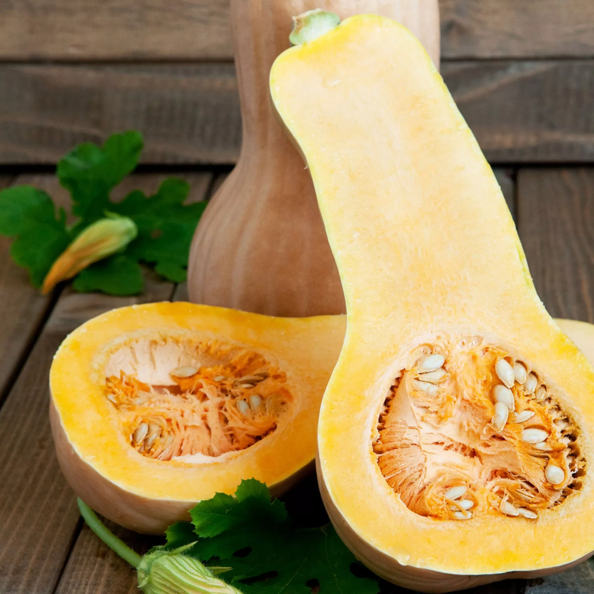 bulk-squash-winter-seeds-waltham-butternut Bulk Squash (Winter) Seeds - Waltham Butternut