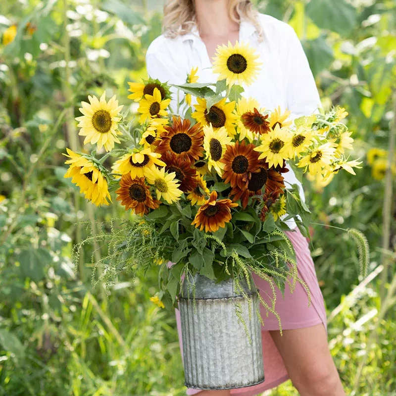 bulk-sunny-sunflower-seed-mix Bulk Sunny - Sunflower Seed Mix