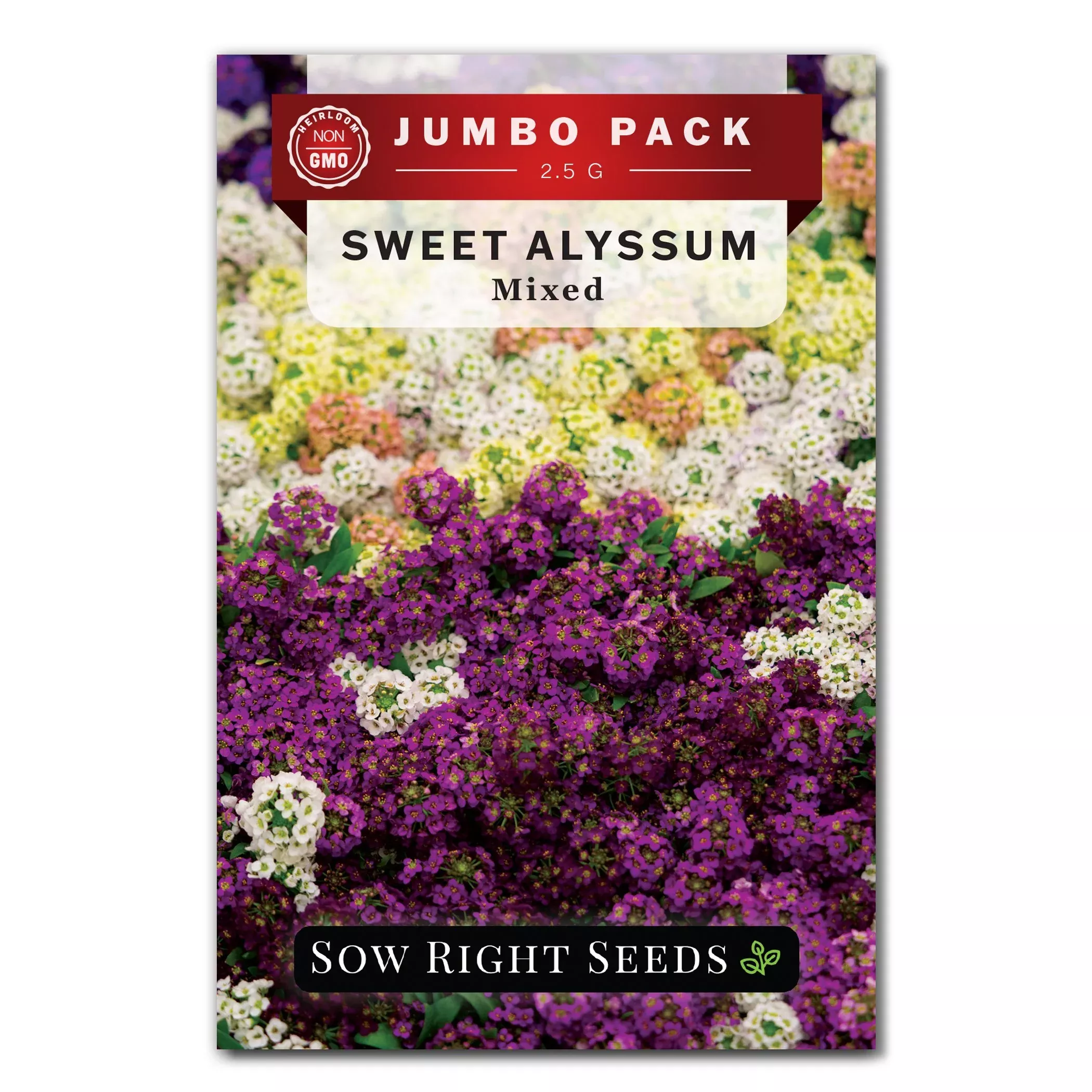 bulk-sweet-alyssum-mixed-2-5-grams-seeds Bulk Sweet Alyssum Mixed 2.5 Grams Seeds