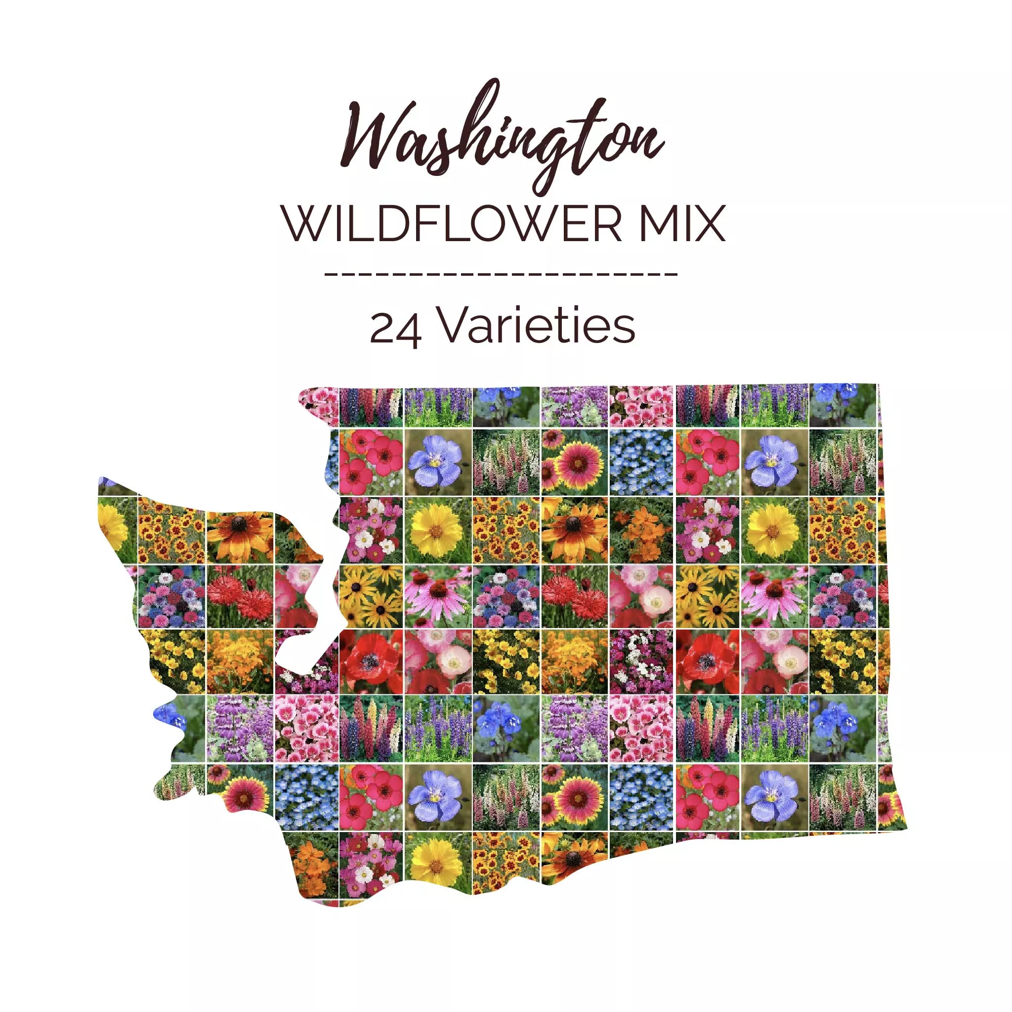bulk-washington-wildflower-seed-mix Bulk Washington Wildflower Seed Mix